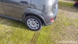  Fiat  Panda 1.0 FireFly 70cv S&S Hybrid #14