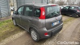  Fiat  Panda 1.0 FireFly 70cv S&S Hybrid #3