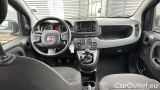  Fiat  Panda 1.0 FireFly 70cv S&S Hybrid #6