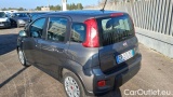  Fiat  Panda 1.0 FireFly 70cv S&S Hybrid #3