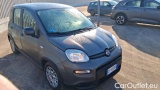  Fiat  Panda 1.0 FireFly 70cv S&S Hybrid #2