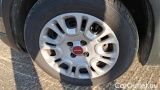  Fiat  Panda 1.0 FireFly 70cv S&S Hybrid #14