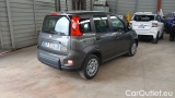  Fiat  Panda 1.0 FireFly 70cv S&S Hybrid #4