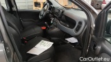  Fiat  Panda 1.0 FireFly 70cv S&S Hybrid #5