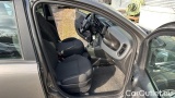 Fiat  Panda 1.0 FireFly 70cv S&S Hybrid #5
