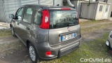  Fiat  Panda 1.0 FireFly 70cv S&S Hybrid #3