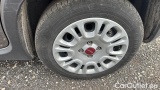  Fiat  Panda 1.0 FireFly 70cv S&S Hybrid #25