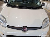  Fiat  Panda FIAT  / 2011 / 5P / BERLINA 1.0 FIREFLY 70CV SeS HYBRID CITY LIFE #22