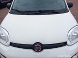  Fiat  Panda FIAT  / 2011 / 5P / BERLINA 0.9 TWINAIR TURBO 85CV WILD 4X4 #24