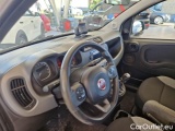  Fiat  Panda FIAT  / 2011 / 5P / BERLINA 0.9 TWINAIR TURBO 85CV WILD 4X4 #80