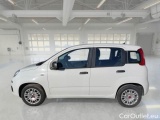  Fiat  Panda FIAT  / 2011 / 5P / BERLINA 1.2 69CV SeS E6D-TEMP EASY #8