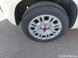  Fiat  Panda FIAT  / 2011 / 5P / BERLINA 1.2 69CV SeS E6D-TEMP EASY #66