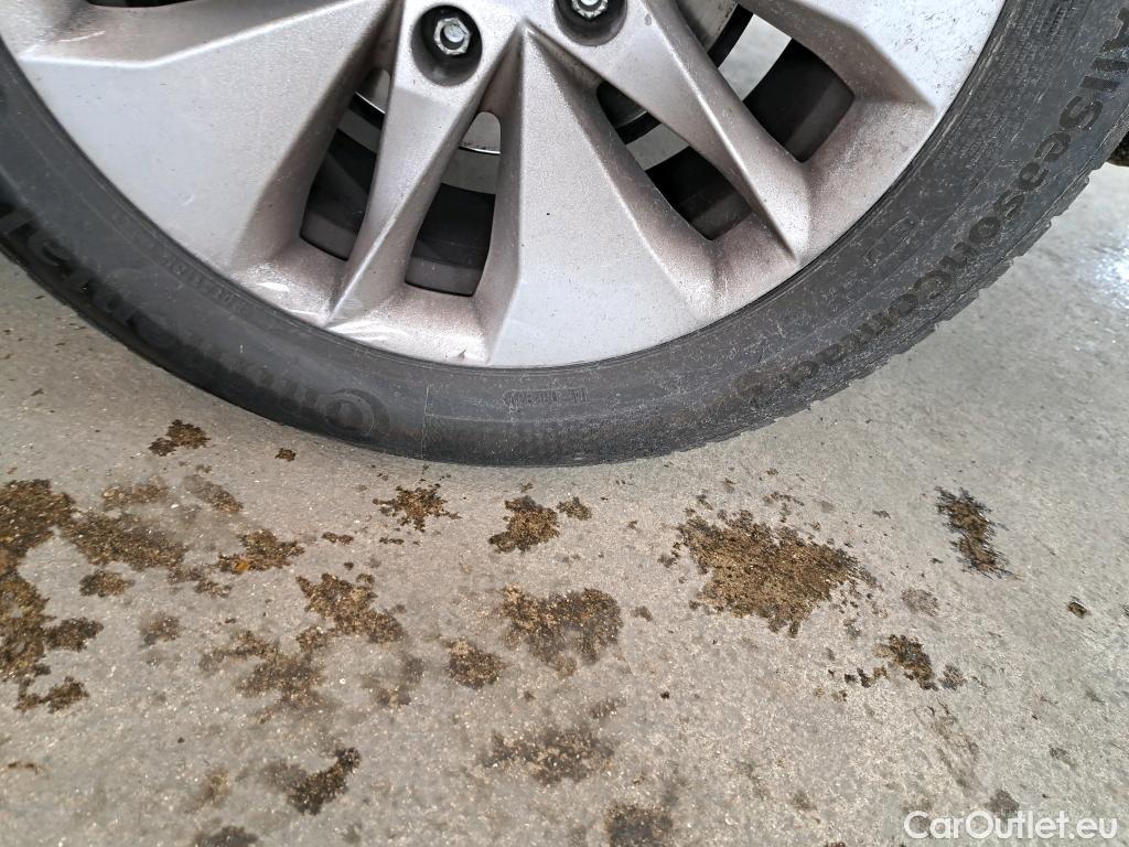  Skoda  Octavia  Break Business 2.0 TDI 115CV BVM6 E6d #17