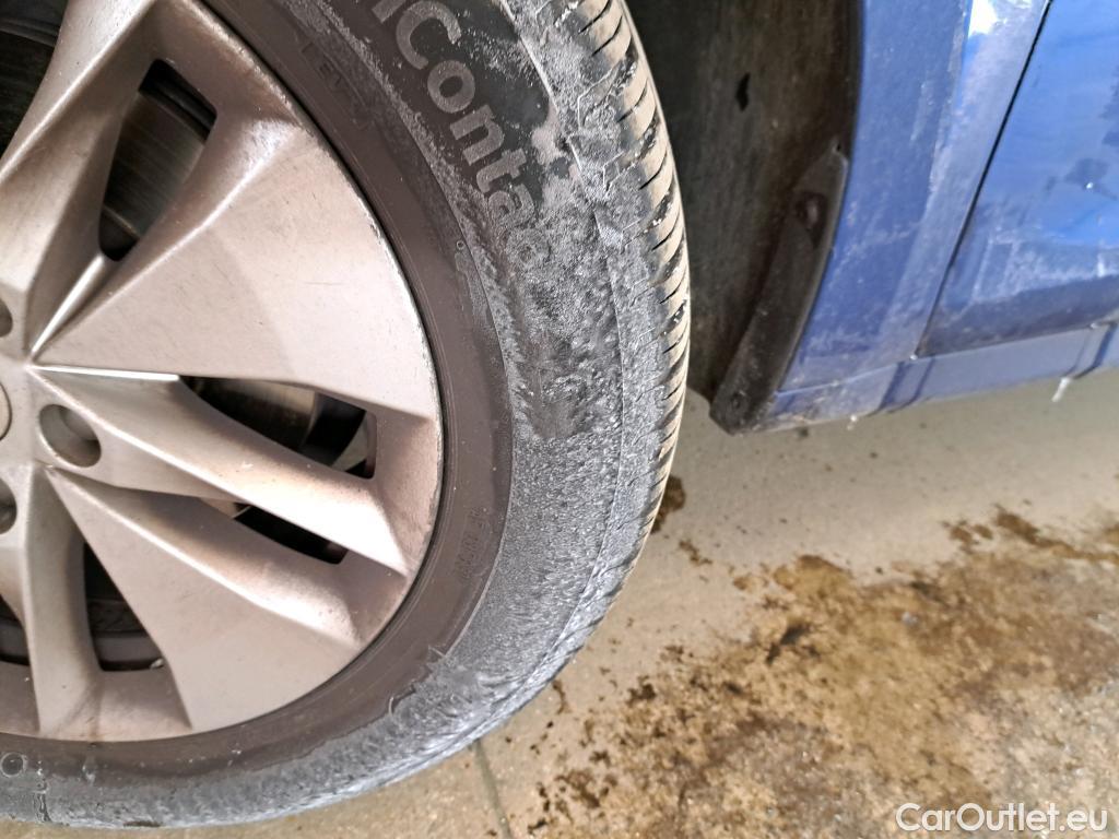  Skoda  Octavia  Break Business 2.0 TDI 115CV BVM6 E6d #19