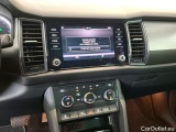  Skoda  Kodiaq  Business 2.0 TDI 150CV BVA7 E6dT #7