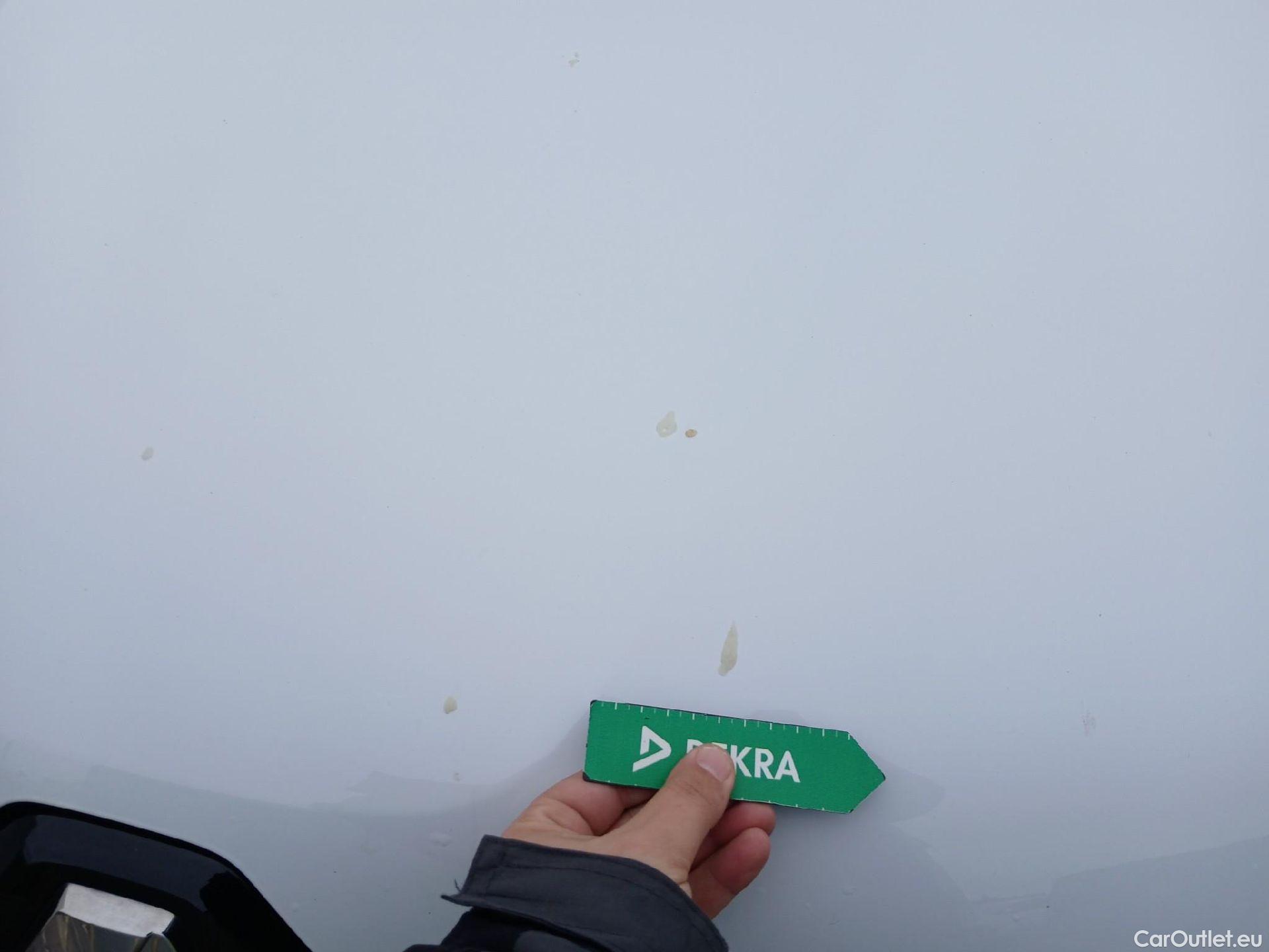  Renault  Kangoo RENAULT  Combi / 2021 / 5P / combi Life Edition One 1.5 Blue dCi 70kW(95CV) (IND)(AC) #8