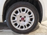  Fiat  Panda FIAT  / 2011 / 5P / BERLINA 1.2 69CV SeS E6D-TEMP EASY #17