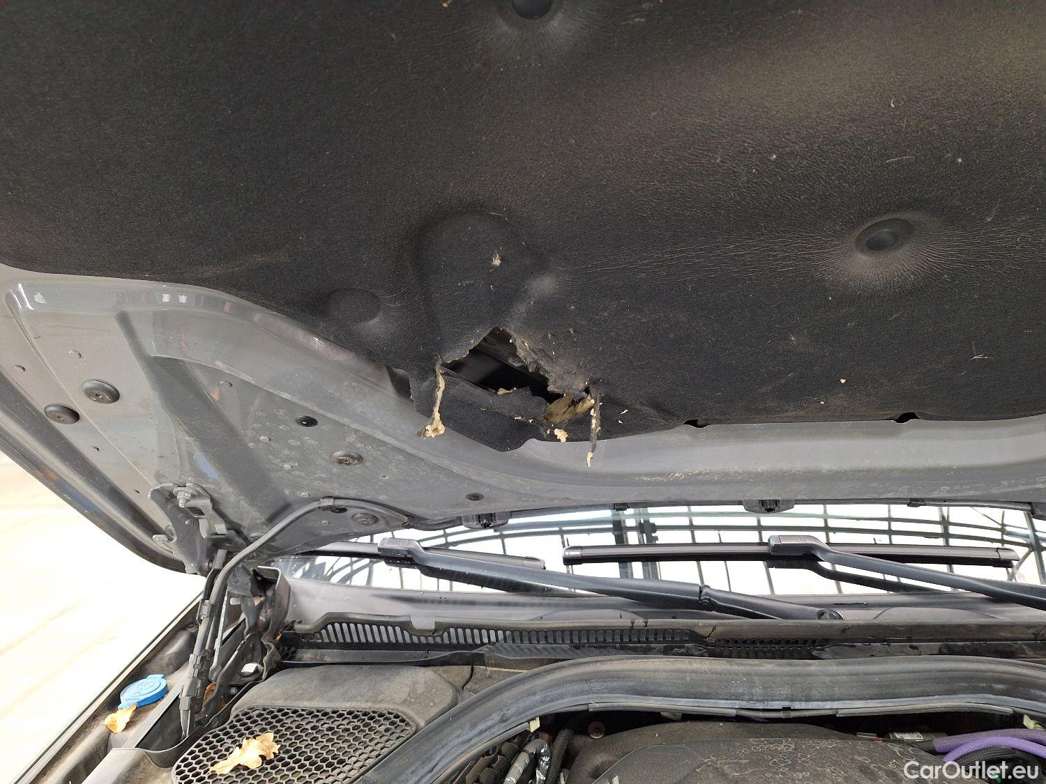  Bmw  Serie 5 BMW, 5-serie To FL'20, BMW 5 Reeks Touring 518d Aut. (100 kW) 5d #21