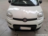  Fiat  Panda FIAT  / 2011 / 5P / BERLINA 0.9 TWINAIR TURBO 85CV SeS E6-TEMP 4X4 #26
