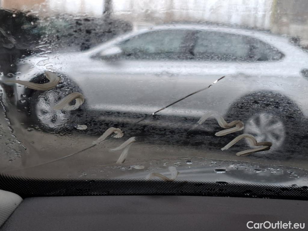  Skoda  Kodiaq  Business 2.0 TDI 150CV BVA7 E6dT #21