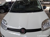  Fiat  Panda FIAT  / 2011 / 5P / BERLINA 0.9 TWINAIR TURBO 85CV WILD 4X4 #23