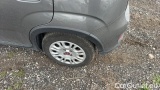 Fiat  Panda 1.0 FireFly 70cv S&S Hybrid #14
