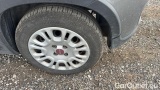  Fiat  Panda 1.0 FireFly 70cv S&S Hybrid #25