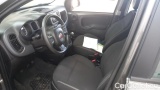 Fiat  Panda 1.0 FireFly 70cv S&S Hybrid #5