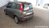  Fiat  Panda 1.0 FireFly 70cv S&S Hybrid #3