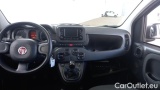  Fiat  Panda 1.0 FireFly 70cv S&S Hybrid #6