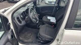  Fiat  Panda 1.0 FireFly 70cv S&S Hybrid #5