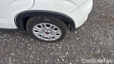  Fiat  Panda 1.0 FireFly 70cv S&S Hybrid #14