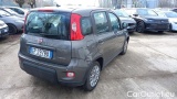 Fiat  Panda 1.0 FireFly 70cv S&S Hybrid #4