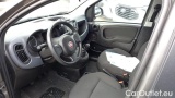  Fiat  Panda 1.0 FireFly 70cv S&S Hybrid #5