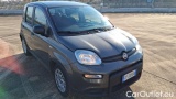  Fiat  Panda 1.0 FireFly 70cv S&S Hybrid #2