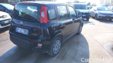  Fiat  Panda 1.0 FireFly 70cv S&S Hybrid #4