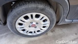  Fiat  Panda 1.0 FireFly 70cv S&S Hybrid #14
