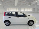  Fiat  Panda FIAT  / 2011 / 5P / BERLINA 1.0 70CV SeS HYBRID #7