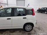 Fiat  Panda FIAT  / 2011 / 5P / BERLINA 1.0 70CV SeS HYBRID #51
