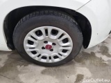  Fiat  Panda FIAT  / 2011 / 5P / BERLINA 1.0 70CV SeS HYBRID #59