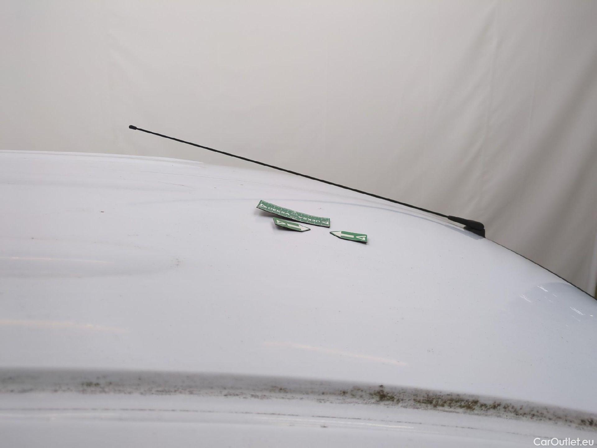  Renault  Kangoo  Express Extra (Série Spéciale) 1.5 dCi 90CV BVM5 E6 #34