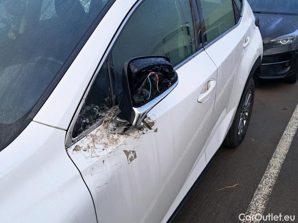  Lexus  NX LEXUS  / 2017 / 5P / todoterreno 2.5 300h Business Navigation 2WD (CX) #13