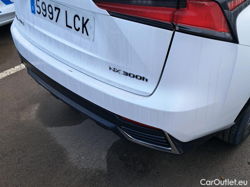  Lexus  NX LEXUS  / 2017 / 5P / todoterreno 2.5 300h Business Navigation 2WD (CX) #23