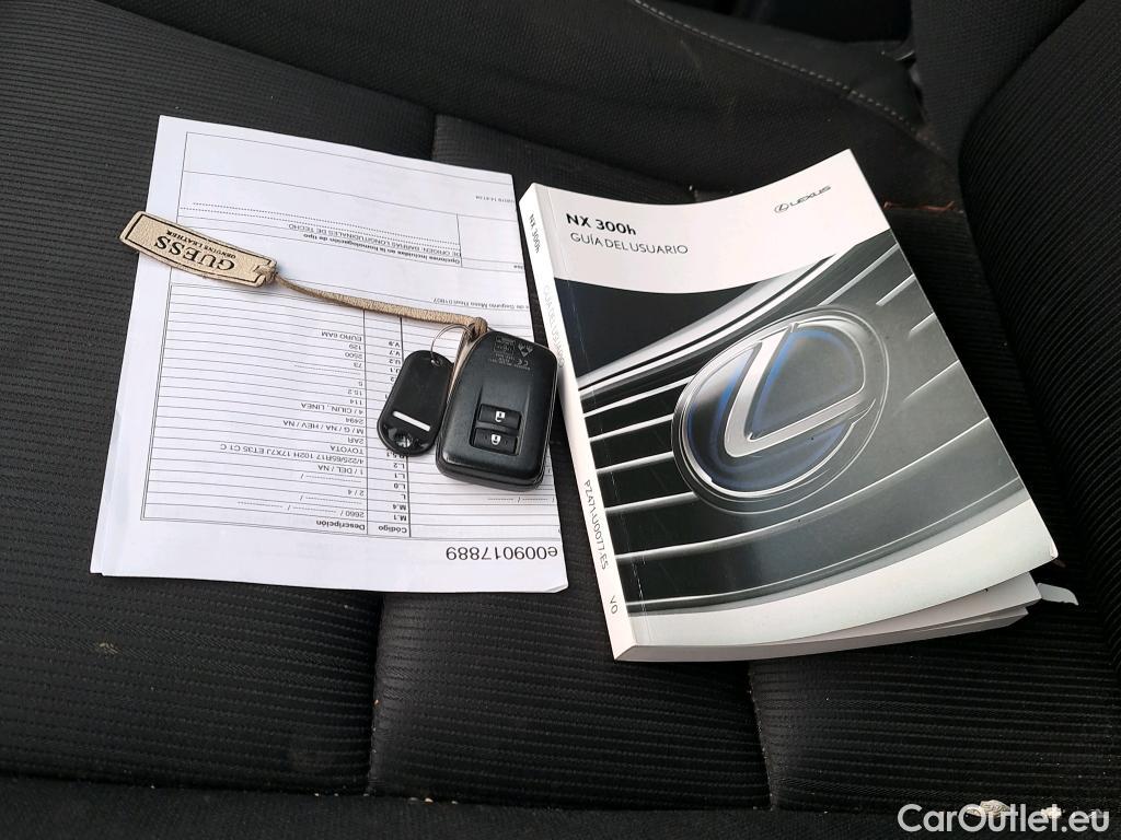  Lexus  NX LEXUS  / 2017 / 5P / todoterreno 2.5 300h Business Navigation 2WD (CX) #20
