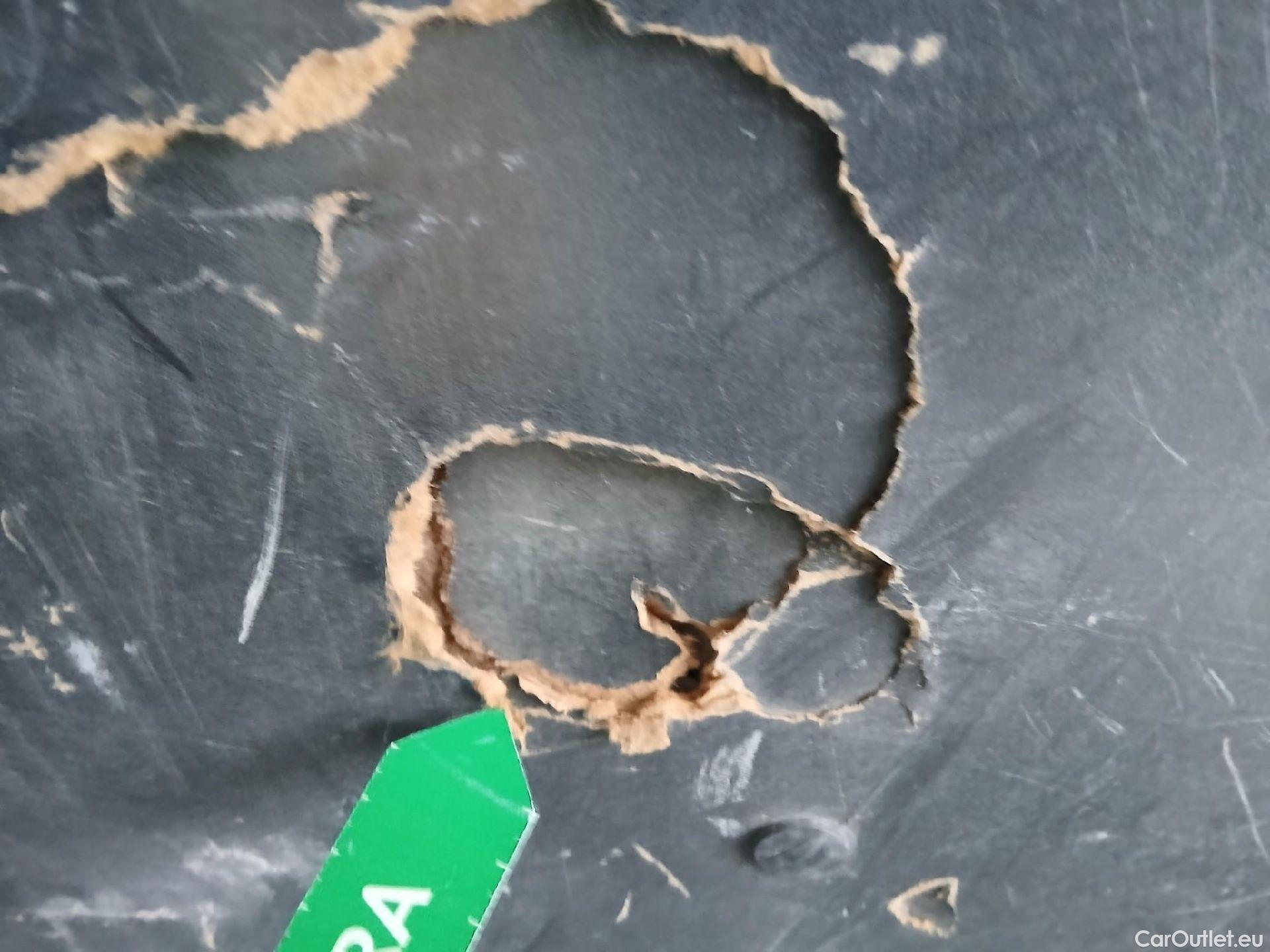  Opel  Vivaro OPEL  / 2019 / 4P / furgón 1.5 Diésel 74kW(100CV)M Std Exp #32