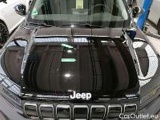  Jeep  Avenger 1.2 GSE T3 TURBO-BENZIN GDI  78 #10