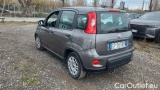  Fiat  Panda 1.0 FireFly 70cv S&S Hybrid #3