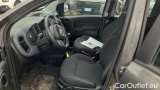  Fiat  Panda 1.0 FireFly 70cv S&S Hybrid #7