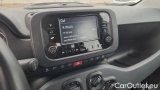  Fiat  Panda 1.0 FireFly 70cv S&S Hybrid #13