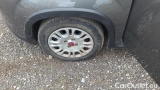  Fiat  Panda 1.0 FireFly 70cv S&S Hybrid #14